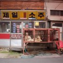 구포시장 상인회 이미지