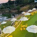 카페모니카 이미지