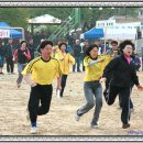 도지초교 이미지