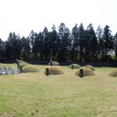 파노라마 제주 이미지