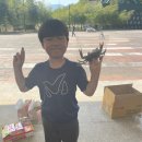 이태훈태권도 이미지