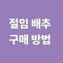 충북원예농협가공공장 | 절임배추 가격. 품질 비교 주문 방법 총 정리