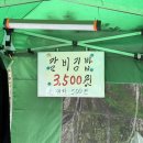 애막골갈비김밥 이미지