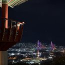 우암동 도시숲 이미지