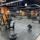 산수휘트니스 | 광주 동구 헬스장 라도스 피트니스 업체 정보 후기