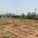 오곡2농장 이미지