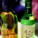 남산공원오토캠핑장 이미지