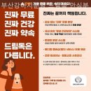 부산강아지분양 드림독 안심분양센터 부산점 이미지