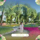 보강천4 이미지