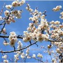 태양농원 이미지