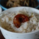 순창토종매실 이미지