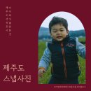 까사보니따 스튜디오 | 아기와 제주도 서귀포 여행 가족 스냅 사진 촬영 후기