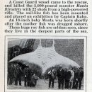 아싸가오리 이미지