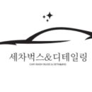 벅스디테일링