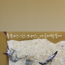 흄홈플러스 이미지