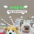 평택녹십자동물약국 이미지