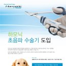 광장동물병원 이미지