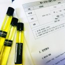 라온펄스