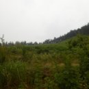 고전면사무소 이미지