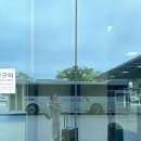 도쿄 3박4일 / 5월의 도쿄 Tokyo