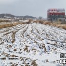 청주투자닷컴공인중개사사무소 이미지