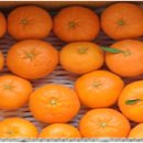 연희농장 이미지