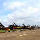 블랙이글 이미지