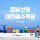 탱크라이브카페 | 5번 방문한 현지인 해장 맛집 '통큰 해물뚝배기' & 스타벅스 머드광장점 루프탑 후기 (+보령머드축제 정보)