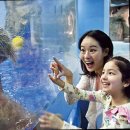 HOTEL RAUM 이미지