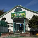 안계미나리농장