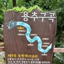 용추구곡 네이버블로그