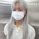 살롱드비율 이미지