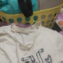 머꼬갈래 이미지