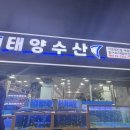 태양횟집 | 📍동대문 횟집 추천｜ 태양수산 재방문 후기 🐟💙