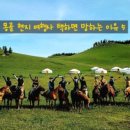 골든투어여행사 이미지
