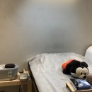 아나덴슈가링왁싱다산역점 - 8696 | 아나덴슈가링왁싱다산역점