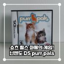 화제로 | 닌텐도DS Purr Pals 쇼츠 릴스 화제의 고양이 게임 플레이 후기