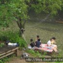 민박 동면 이미지