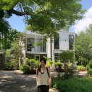 데이드림빌리버 이미지