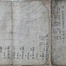 영일공공도서관 | 나의 고서 수집 50년 이야기(2) – 족보