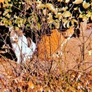 푸른동산어린이공원 이미지