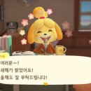 파라다이스 세탁소 이미지