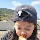 한빛합기도 2관 이미지