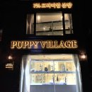 퍼피빌리지 이미지
