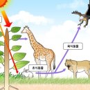 빛과열에너지 이미지