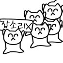 부킹더베이 네이버블로그