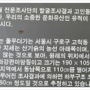 올레길 산림형 1코스 이미지