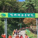 ○2024.10.10.워킹진해 월례회 속리산 말티재고개 꼬부랑길 다녀오다.(2) 이미지