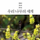 나무로지음 Daum카페
