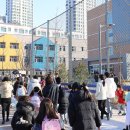 나루초등학교 이미지
